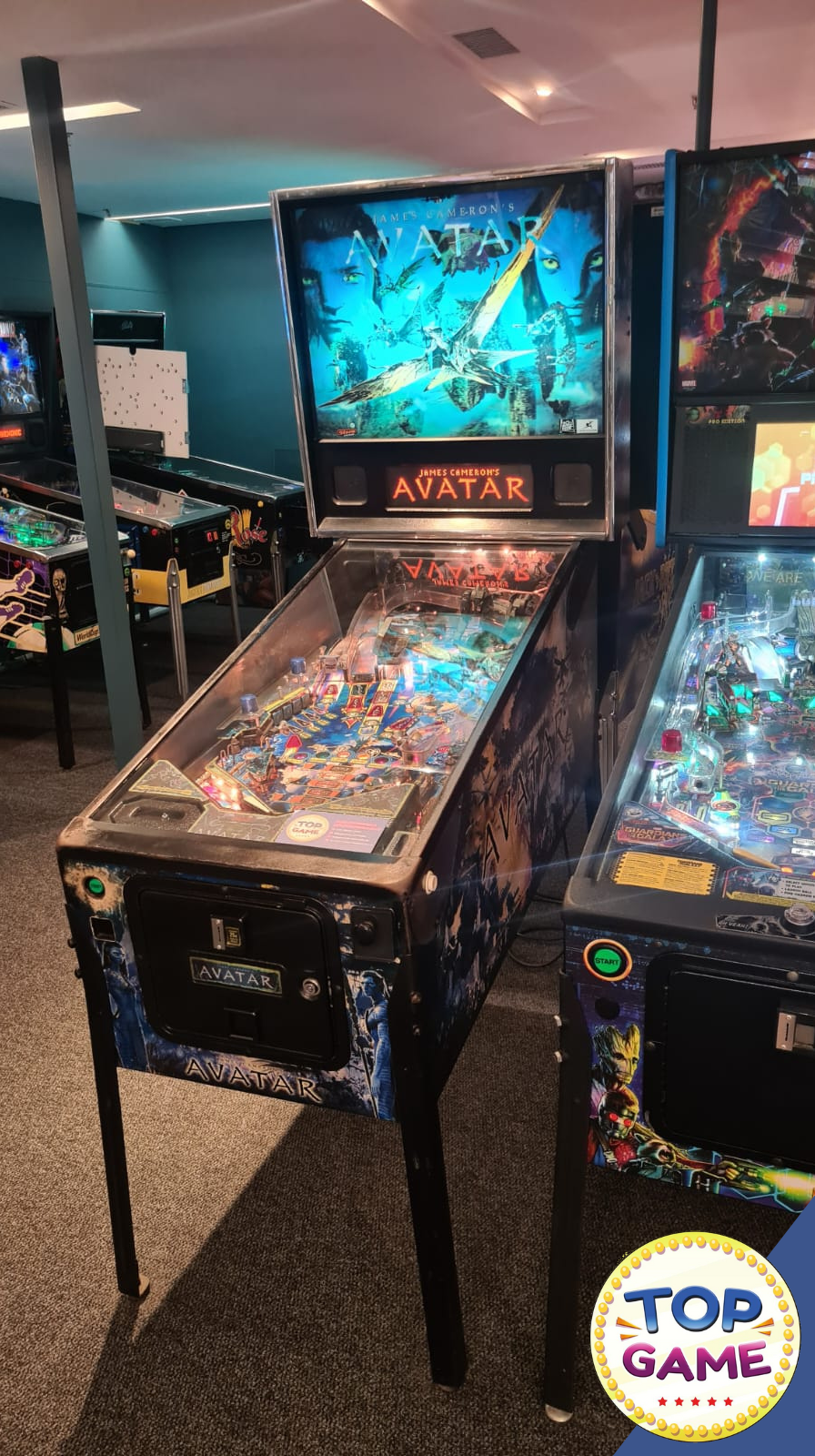 Pinball Vortex (Usado)