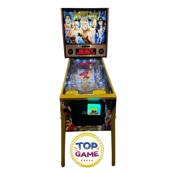 Pinball WWE LE - Semi novo